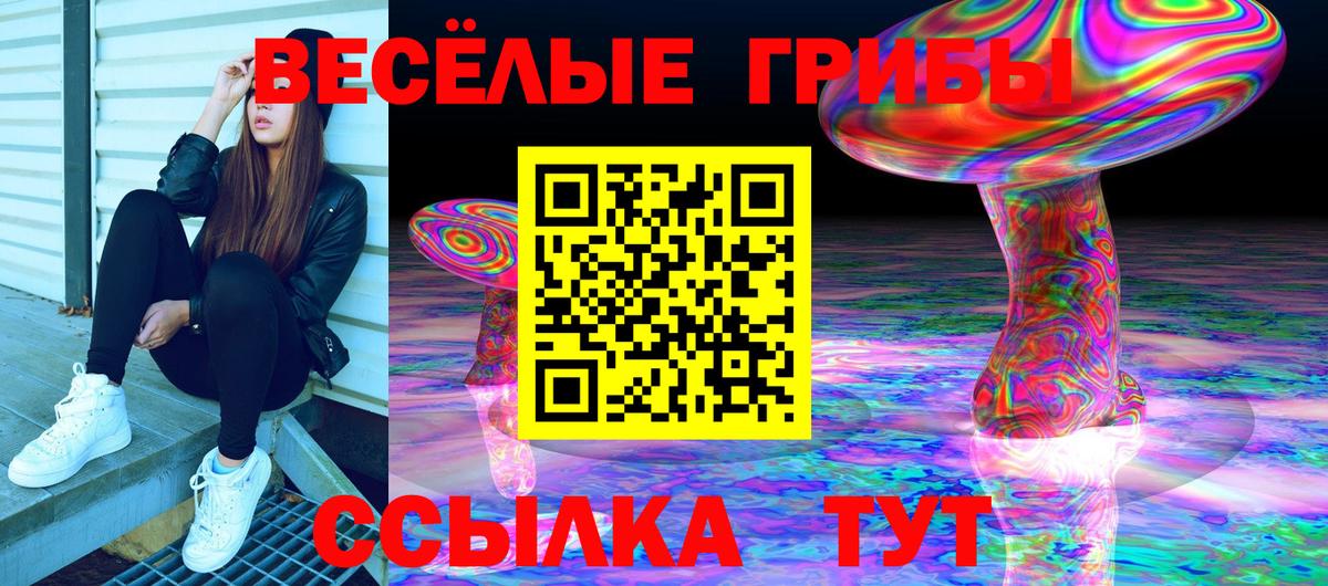 Галлюциногенные грибы прущие грибы  Псилоцибиновые грибы мицелий  Вход с VPN  где можно купить   Петрозаводск 