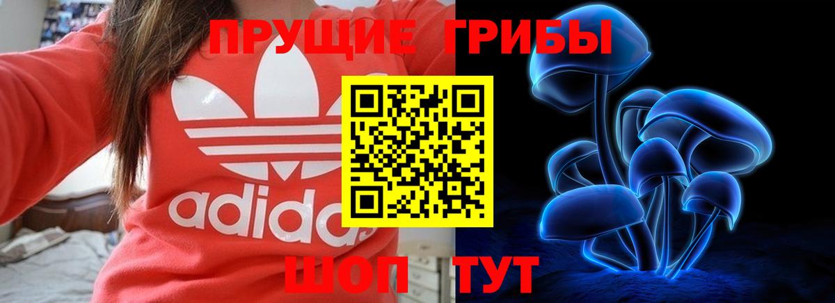 Псилоцибиновые грибы Psilocybe Петрозаводск
